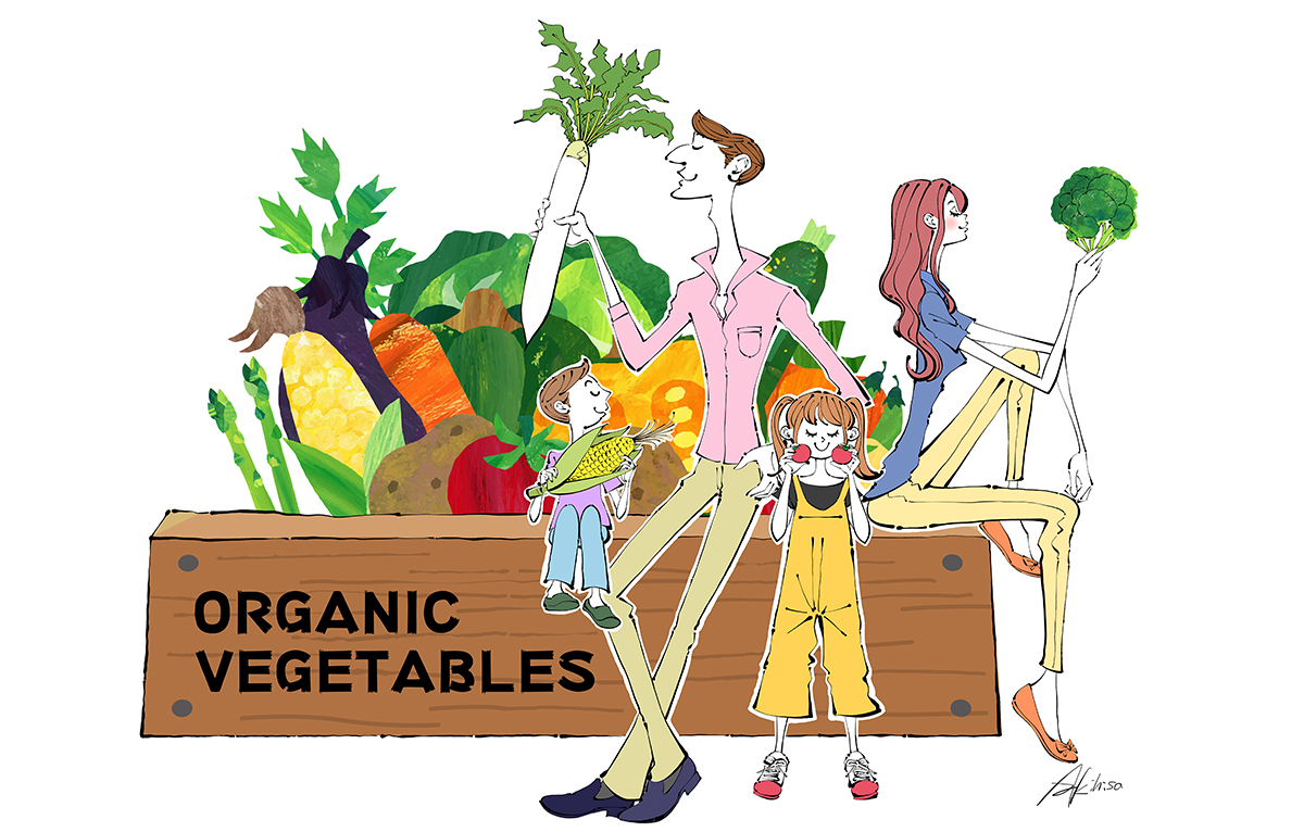 有機栽培の家庭菜園を楽しむ家族のイラスト_イラストレーターAkihisaSawada